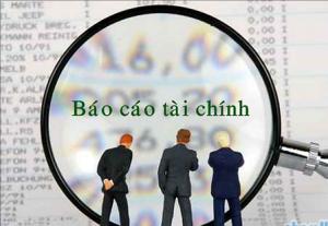 Báo cáo tài chính tổng hợp cho năm tài chính kết thúc ngày 31/12/2015